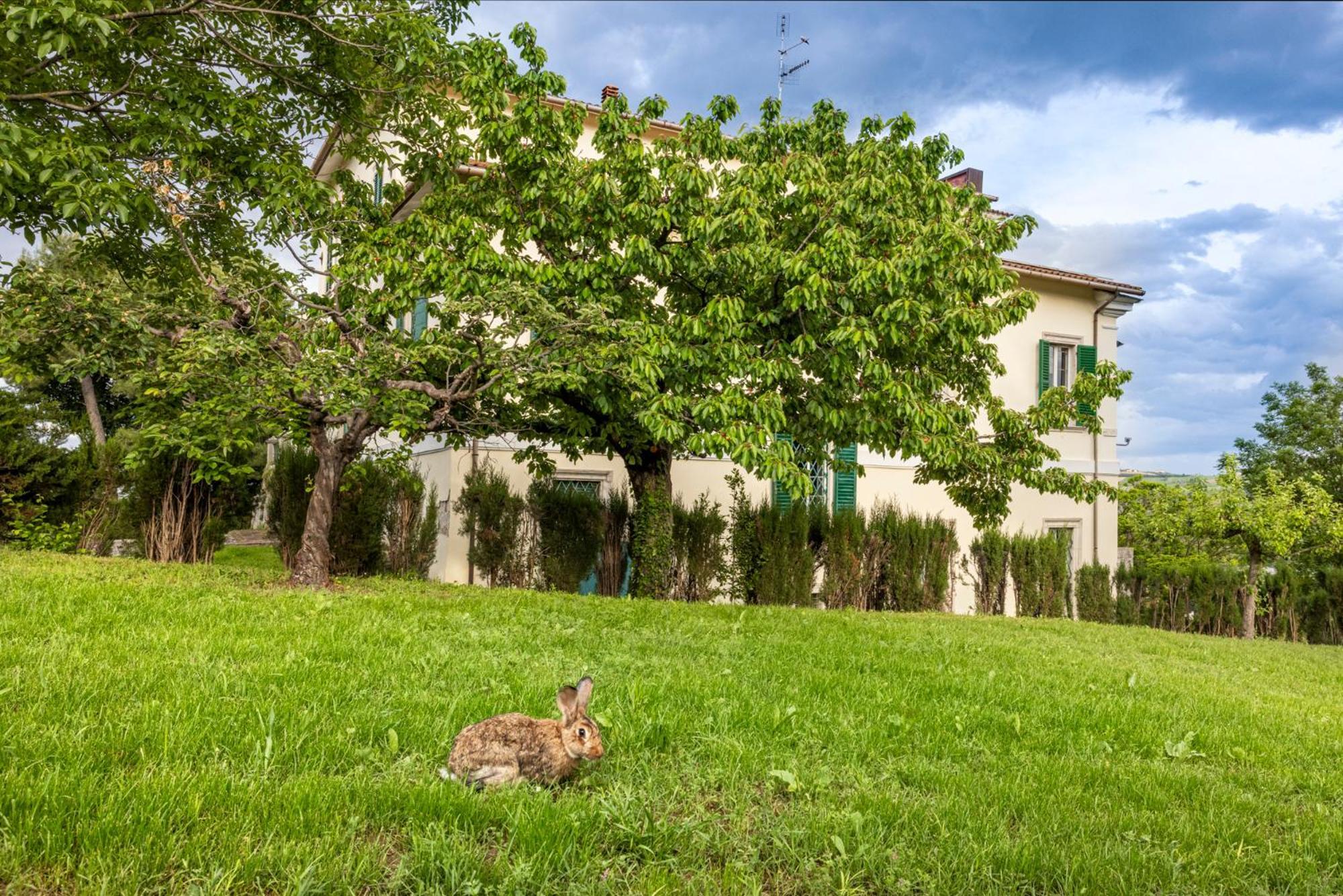 B&B In An 1800S Frescoed Villa With Panoramic Solarium And Historic Park - Villa Mastrangelo Colli del Tronto Buitenkant foto